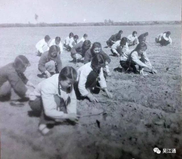 劳动图.jpeg